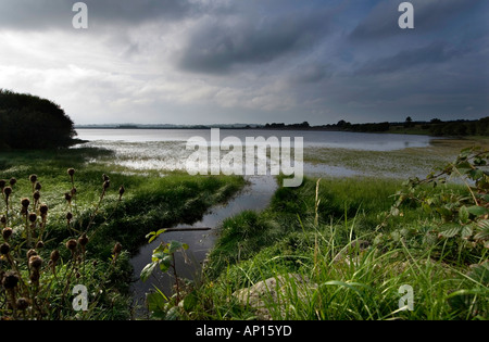 Stoneyford Stausee, Co. Antrim, Nordirland Stockfoto
