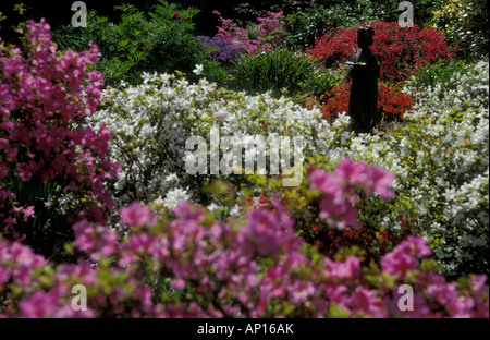 Japanischer Garten, Leverkusen, Nordrhein-Westfalen, Deutschland Stockfoto