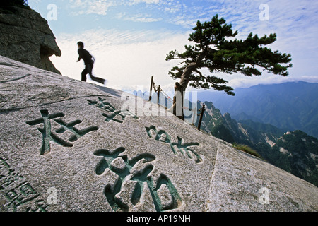 South Peak, Pinie, chinesische Schriftzeichen eingraviert in Stein, South Peak, Hua Shan, Provinz Shaanxi, taoistische Berg, China, Asi Stockfoto