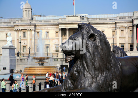 Löwe und die National Gallery am Trafalgar Square in London Stockfoto