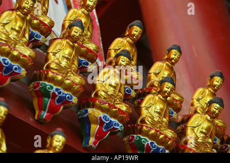 goldenen Buddhas, Wangfo Kloster, Jiuhuashan, Mount Jiuhua, Berg von neun Blüten, Jiuhua Shan, Anhui Provinz, China, Asien Stockfoto