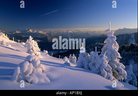 tief Schnee bedeckten Tannen, Blick Richtung Tirol, Chiemgau, Upper Bavaria, Bavaria, Germany Stockfoto