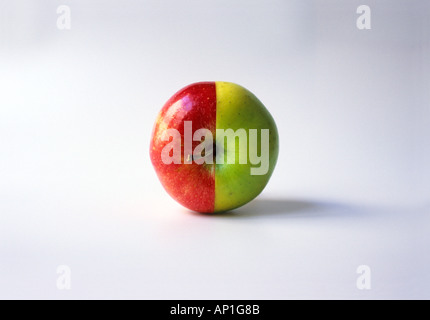 "Halbe apfelrot ^ Braeburn halb grün ^ Granny Smith" Dualität Konzept Stockfoto