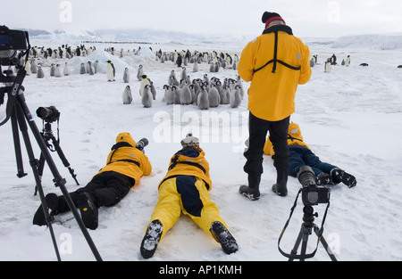 Touristen fotografieren Kaiserpinguin-Küken auf Snow Hill Island Antarktis November Stockfoto