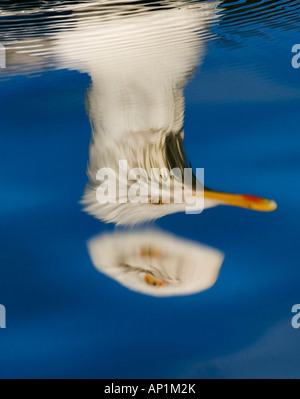 Eiszapfen hängen von Eisberg im Weddellmeer Antarktis November Stockfoto