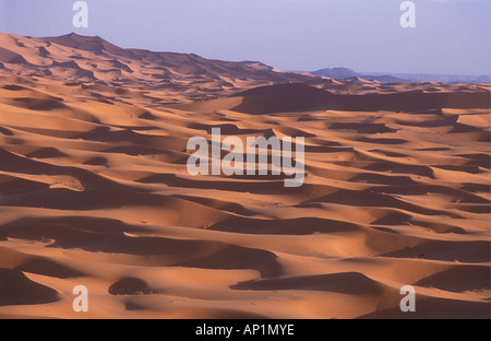 Sahara Wüste Sanddünen des Erg Chebbi in der Nähe von Merzouga südlich von Erfoud, Marokko Stockfoto