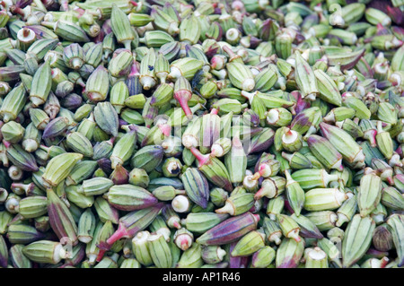 Nahaufnahme Foto des jungen Okra Abelmoschus Esculentus Hibiscus zum Verkauf auf einem Markt in Assuan, Ägypten, Naher Osten DSC 4281 Stockfoto