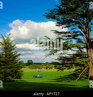 Cheshire Cholmondeley Sport Dorf Cricket auf dem Cholmondeley Burggelände Stockfoto