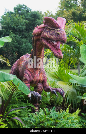 Dilophosaurus d.h. doppelte crested Reptil Dinosaurier aus der frühen Jurazeit geht auf eine Länge von 20 Fuß und w Stockfoto