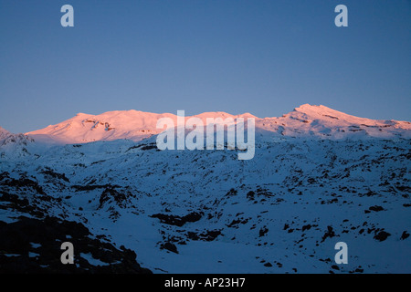 Alpenglühen am Mount Ruapehu bei Dämmerung Central Plateau Nordinsel Neuseeland Stockfoto