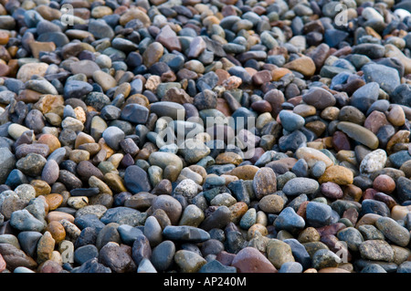 Gut abgerundeten Kieselsteinen am Ufer des Puget Sound in Tacoma, Washington, Vereinigte Staaten Stockfoto