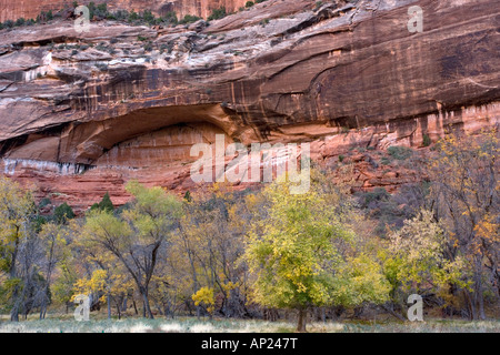 Zion Nationalpark Utah mit roten Sandsteinfelsen im Herbst Utah USA Stockfoto