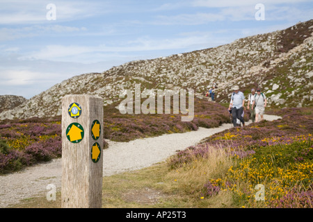 Insel ANGLESEY COASTAL PATH und Wegweiser mit gelben Pfeilen mit Wanderer im Sommer auf Holyhead Mountain Anglesey Wales UK Stockfoto