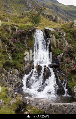 Kleiner Wasserfall am Gebirgsbach von Llyn Bochlwyd in Bergen von Snowdonia National Park, Ogwen, North Wales, UK, Großbritannien Stockfoto