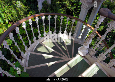 Die Wendeltreppe in den gemäßigten Haus-Kew Gardens, London Stockfoto