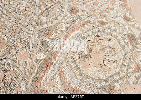 Detail des Mosaik, Basilika der Chrysopolitissa (oder Agia Kyriaki), Paphos, Westküste, Zypern Stockfoto