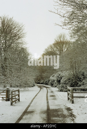 Tore auf Benacre Immobilien im Winter in Suffolk Uk Stockfoto