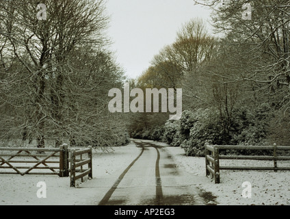 Schnee auf dem Benacre Anwesen in Suffolk Uk Stockfoto