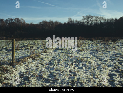 Schnee am Beccles häufig in Suffolk Uk Stockfoto