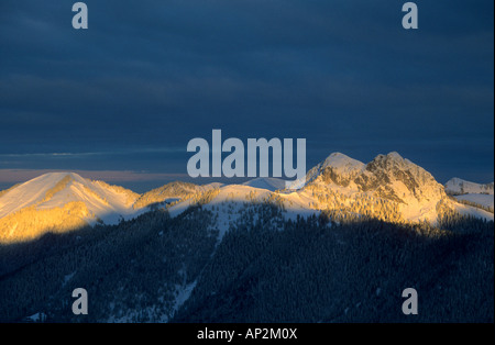 Ross und Buchsteins Schnee im frühen Morgenlicht, Schildenstein, Bayerische Alpen, Tegernsee, Bayern, Oberbayern, Deutsch Stockfoto