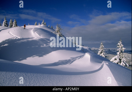 Gesimse und verschneite Tannen mit Backcountry Skifahrer am Schildenstein, Bayern, Oberbayern, Tegernsee, Bayerische Alpen Stockfoto