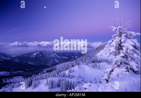 Tief verschneite Szene mit Tannen am Schildenstein mit Karwendel im Hintergrund, Bayerische Alpen, Tegernsee, obere Ba Stockfoto