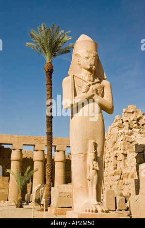 Statue von Ramses II. zweiter mit einer Palme in Karnak, Luxor, Oberägypten, Nahost. DSC 4394 Stockfoto