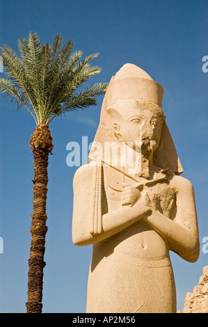 Statue von Ramses II. zweiter mit einer Palme in Karnak, Luxor, Oberägypten, Nahost. DSC 4395 Stockfoto