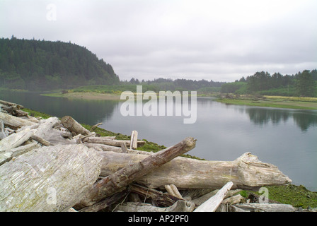 Washington State WA Quillayute River in der Nähe von Stadt von La Push und Olympic National Park Treibholz Mündung des Stockfoto