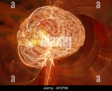 Das Gehirn Stockfoto