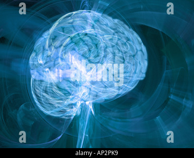 Das Gehirn Stockfoto