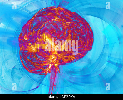 Das Gehirn Stockfoto