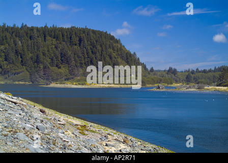 Washington State WA Quillayute River in der Nähe Stadt von La Push und Olympic National Park Mündung des Stockfoto