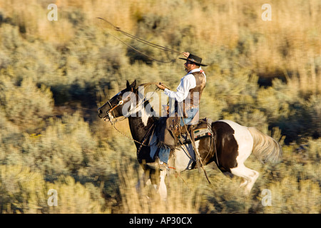 Cowboy Reiten und Lasso Wildwest, Oregon USA werfen Stockfoto