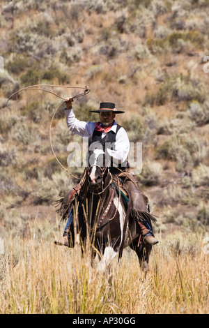 Cowboy werfen Lasso Wildwest, Oregon, USA Stockfoto