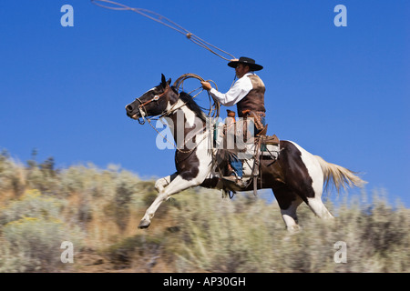 Cowboy werfen Lasso Wildwest, Oregon, USA Stockfoto