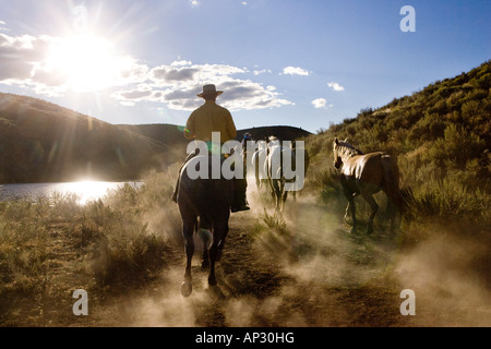 Cowboys mit Pferden, Wild West, Oregon, USA Stockfoto