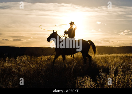 Cowboy bei Sonnenuntergang, Oregon, USA Stockfoto