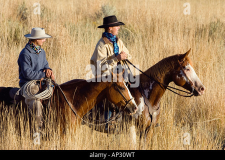 Cowboys auf Pferden, Oregon, USA Stockfoto