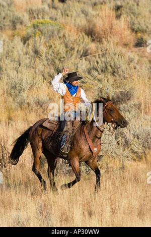 Cowboy werfen Lasso Wildwest, Oregon, USA Stockfoto