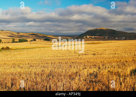 Stoppelfeldern mit Dorf im Hintergrund, Ibrillos, in der Nähe von Belorado, Kastilien-Leon, Spanien Stockfoto