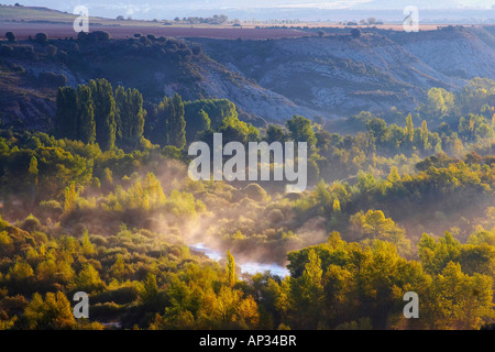 Ein am frühen Morgen im Herbst mit Nebel, Nebel über dem Fluss Río Aragón, Aragon, Spanien, Europa Stockfoto