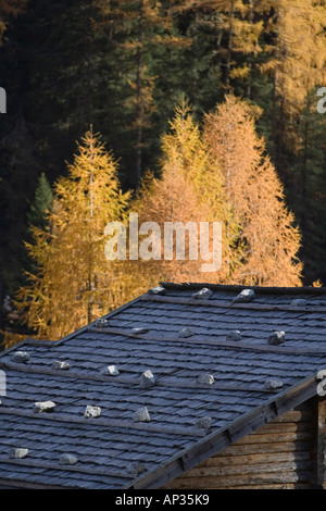 Schindeldach und Schornstein des traditionellen Berghütte in Südtirol Stockfoto