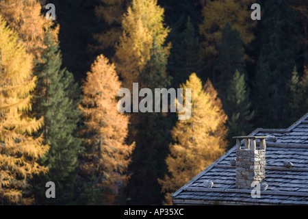 Schindeldach und Schornstein des traditionellen Berghütte in Südtirol Stockfoto