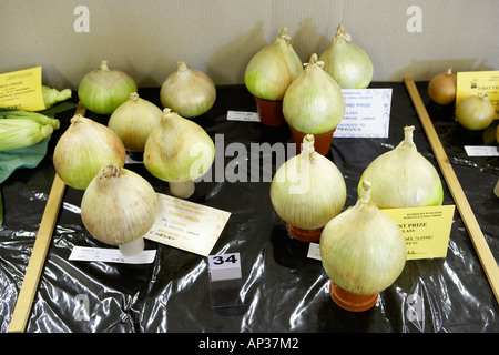 Dorf Gartenschau Konkurrenten Einträge Stockfoto