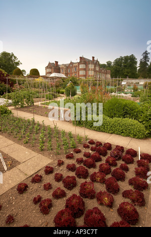 Formale Betten in den ummauerten Garten Burton Agnes Hall East Yorkshire UK Stockfoto