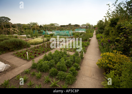 Formale Betten in den ummauerten Garten Burton Agnes Hall East Yorkshire UK Stockfoto