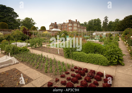 Formale Betten in den ummauerten Garten Burton Agnes Hall East Yorkshire UK Stockfoto