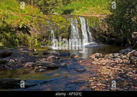 Wasserfall am Fluss Caerfanell, Blaen y Glyn, Brecon Beacons National Park, Powys, Süd-Wales, UK Stockfoto
