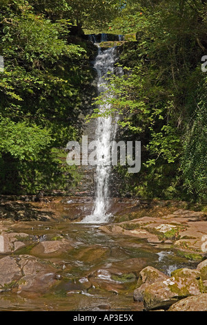 Wasserfall am Fluss Caerfanell, Blaen y Glyn, Brecon Beacons National Park, Powys, Süd-Wales, UK Stockfoto